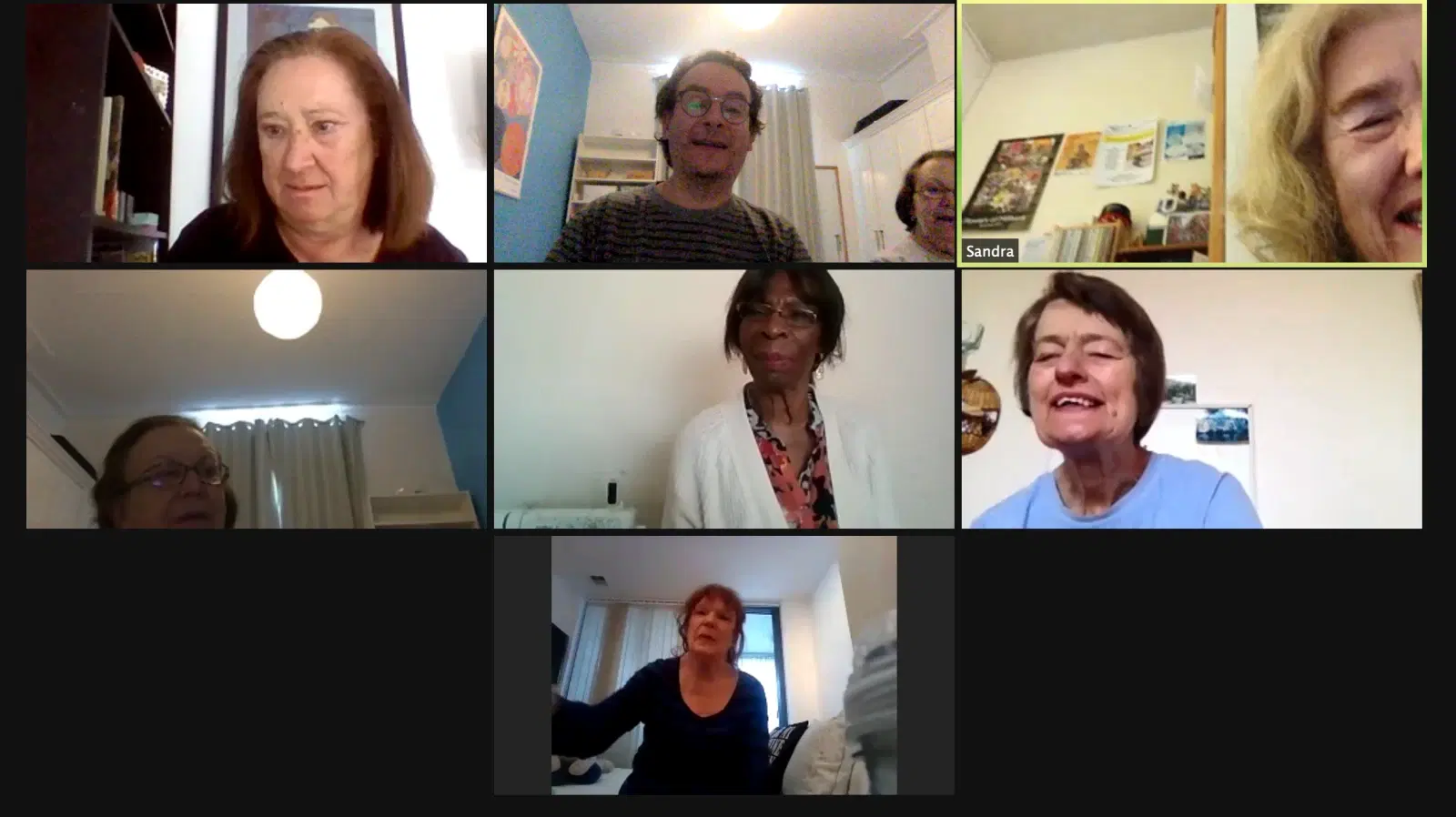 A group of individuals engaging in a virtual video call, showcasing a range of expressions and environments, possibly indicating a casual and social online gathering.